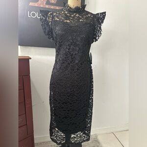 🆕Alexa B Nites Dress